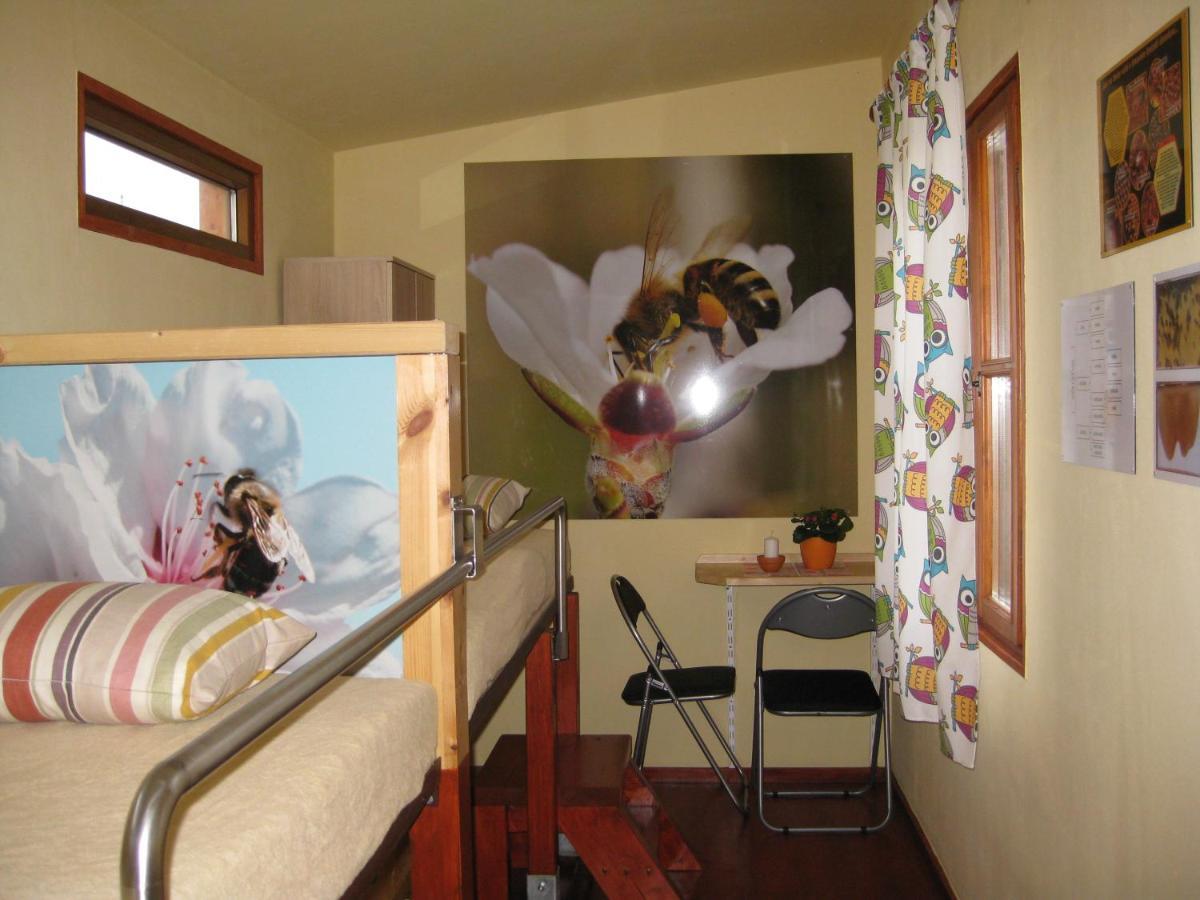 Apartmany Vcelka Hranice u Novych Hradu Exterior photo